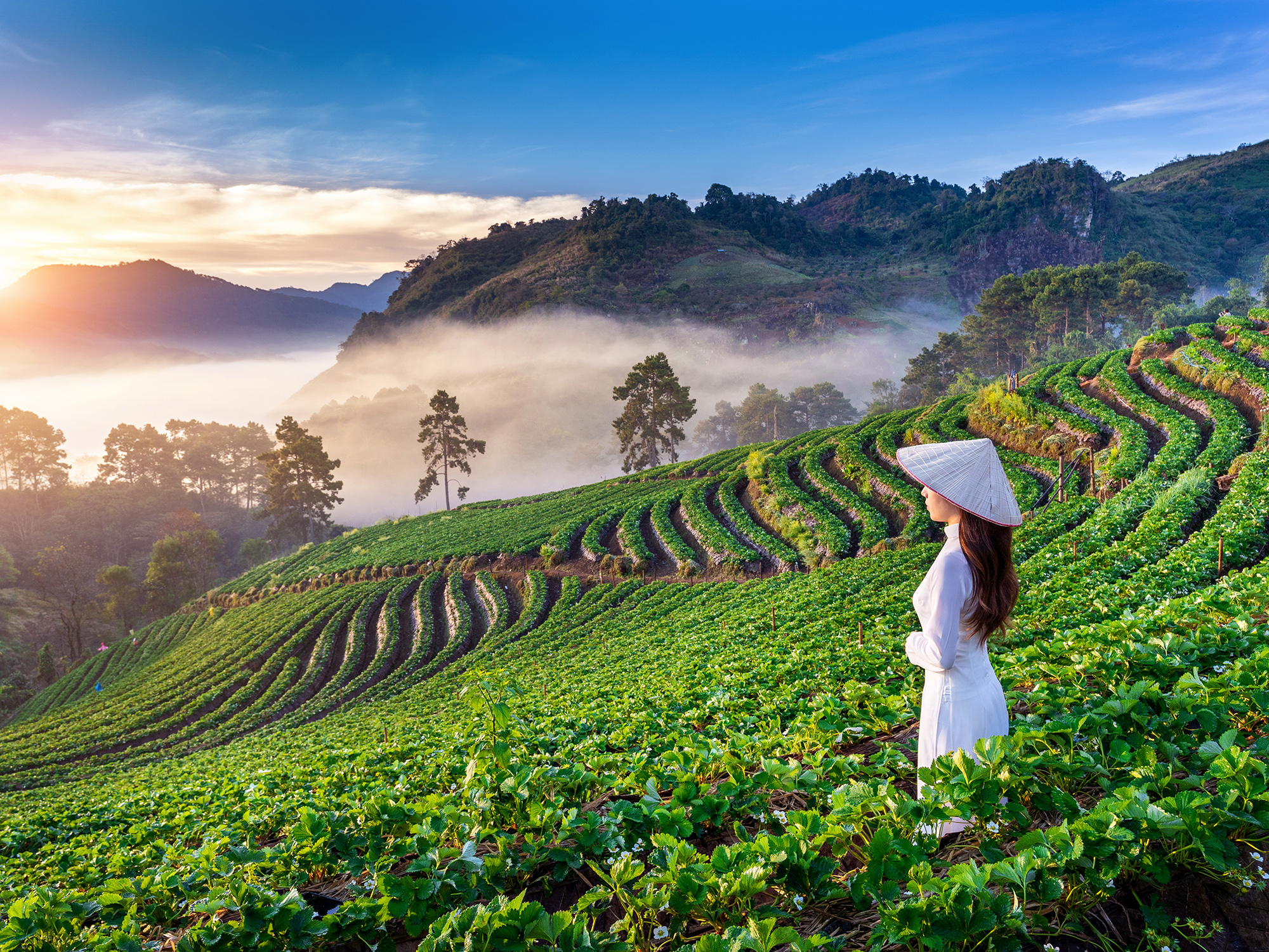 Scenic photo of Vietnam used in a quotation of a multi-country DMC collaboration